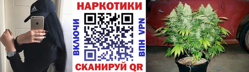 Галлюциногенные грибы Усть-Лабинск