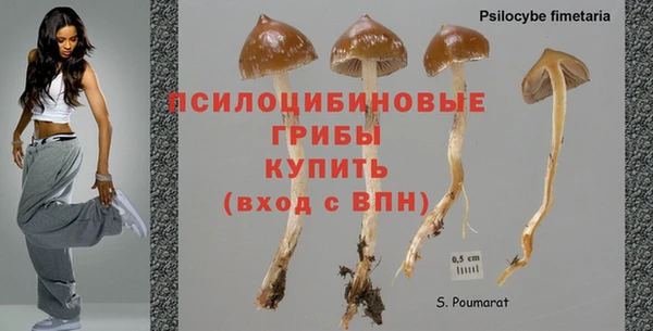 дживик Беломорск