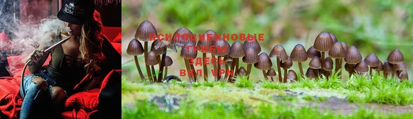 MDMA Premium VHQ Белоозёрский